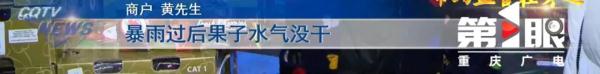“洋水果”身份曝光!重庆“水果市场”大揭秘,你可能花高价买了假货! “洋水果”身份曝光!重庆“水果市场”大揭秘,你可能花高价买了假货!