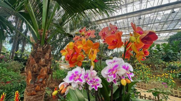 沈阳多景区最新发布!这些人免费! 沈阳多景区最新发布!这些人免费!