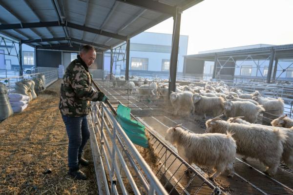 黄河“孤岛村”出河 &nbsp;迎来红火新生活