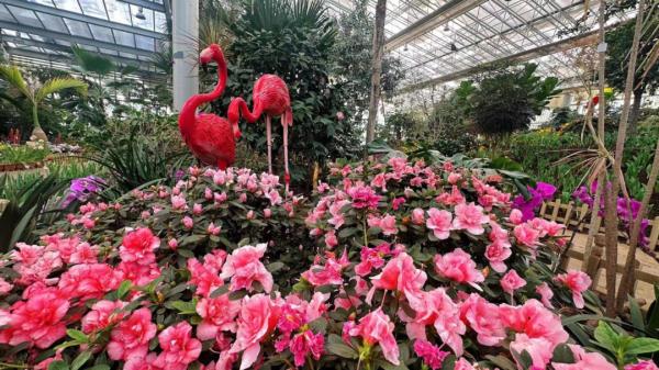 沈阳多景区最新发布!这些人免费! 沈阳多景区最新发布!这些人免费!