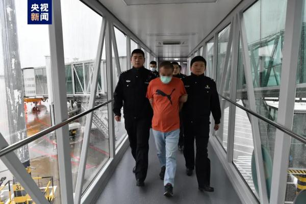 潜逃8年 ！他被遣返回国
