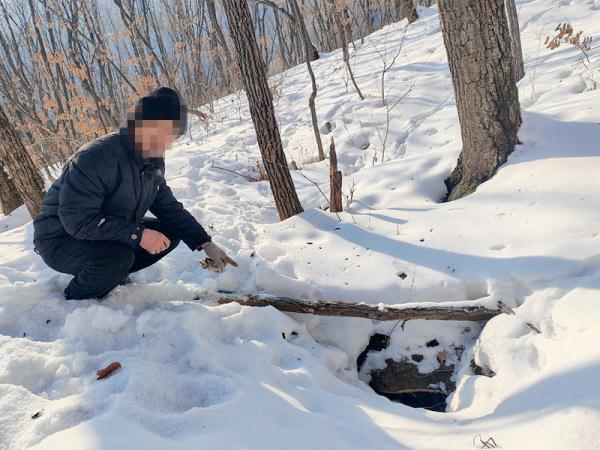 猎捕东北“平头哥”治病? 一男子被公安机关抓获 猎捕东北“平头哥”治病? 一男子被公安机关抓获