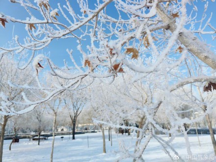 甘肃玉门现绝美雾凇