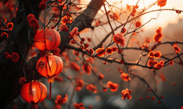 除夕春节不限行！北京交通出行提示→