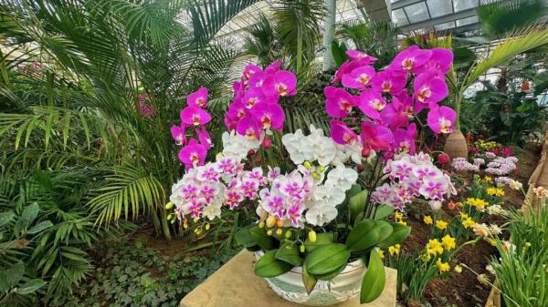 沈阳多景区最新发布!这些人免费! 沈阳多景区最新发布!这些人免费!