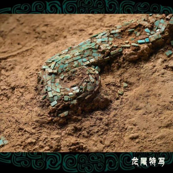 国之瑰宝“中国龙” 国之瑰宝“中国龙”