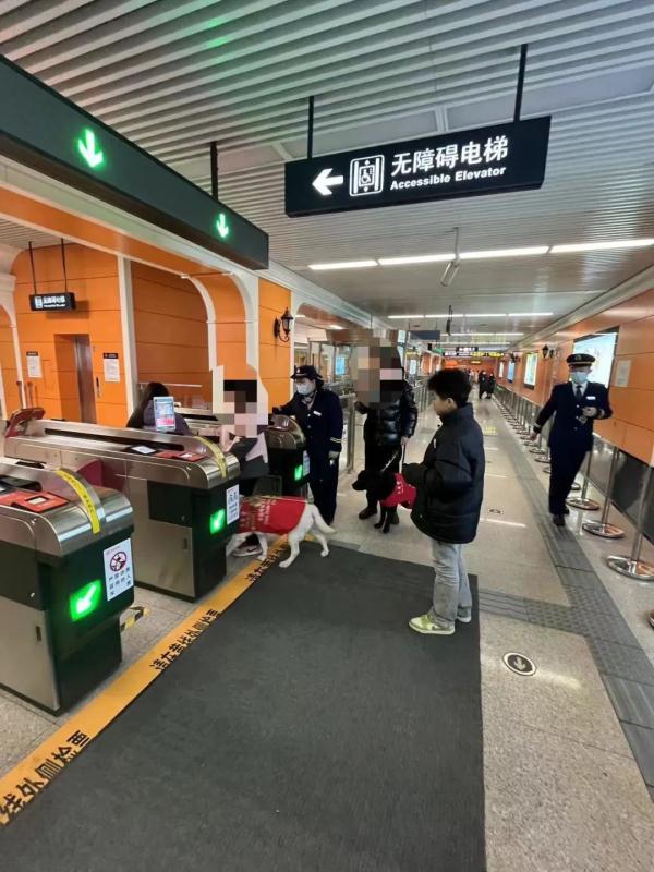 地铁站迎来“持证上岗”服务犬 | 哈尔滨地铁：宠物和活禽则不能进地铁