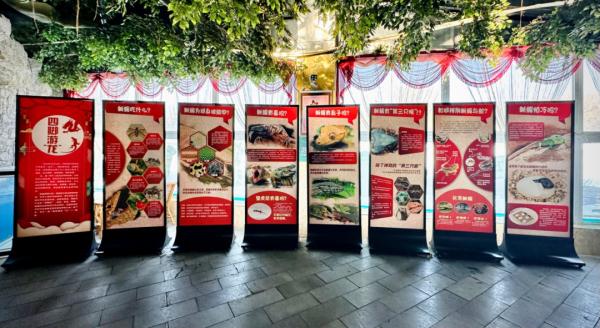 沈阳多景区最新发布!这些人免费! 沈阳多景区最新发布!这些人免费!