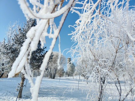 甘肃玉门现绝美雾凇
