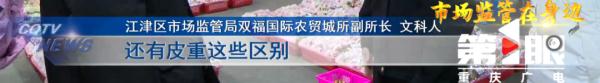 “洋水果”身份曝光!重庆“水果市场”大揭秘,你可能花高价买了假货! “洋水果”身份曝光!重庆“水果市场”大揭秘,你可能花高价买了假货!