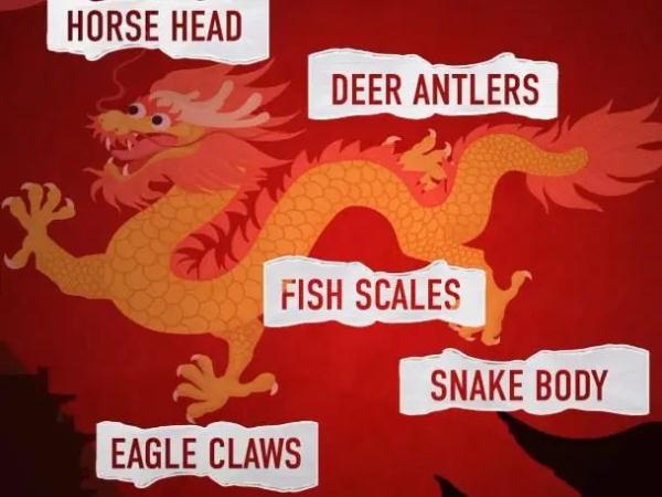 “龙”竟然应该翻译为loong？