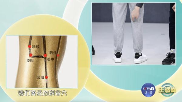 与其打针吃药,不如顺手拍拍你身上的这些“长寿机关” 与其打针吃药,不如顺手拍拍你身上的这些“长寿机关”