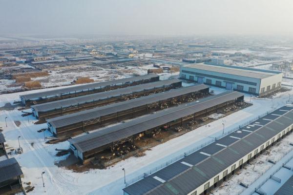 黄河“孤岛村”出河 &nbsp;迎来红火新生活