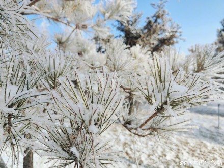 甘肃玉门现绝美雾凇