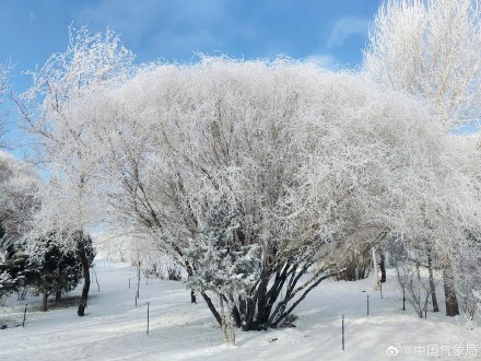 甘肃玉门现绝美雾凇