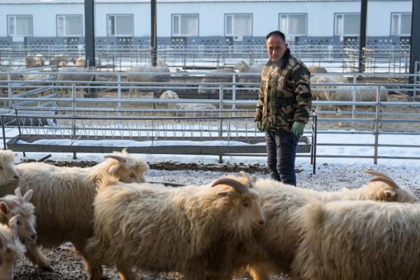 黄河“孤岛村”出河 &nbsp;迎来红火新生活