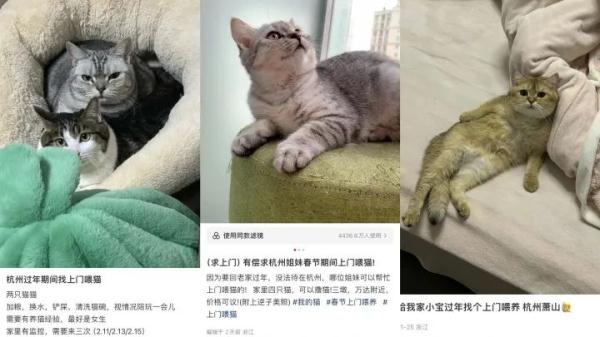 爆了！姑娘猛接100单，短短几天赚5000元