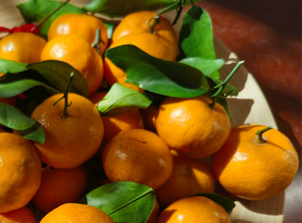 男子每天吃半斤砂糖橘诱发痛风,医生:果糖也是痛风发作的“帮凶” 男子每天吃半斤砂糖橘诱发痛风,医生:果糖也是痛风发作的“帮凶”