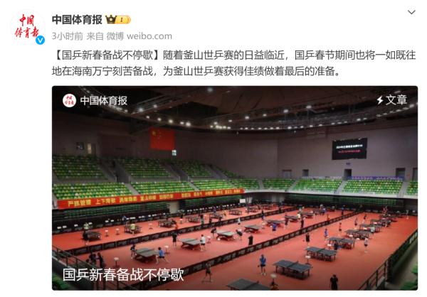 每天早6点半出操，国乒除夕也备战！马龙、王楚钦、孙颖莎刚刚晒图了