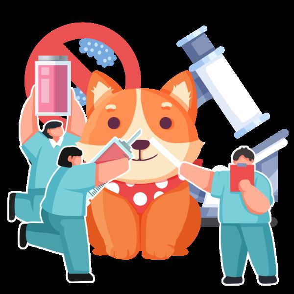 春节假期“招猫逗狗”被咬怎么办