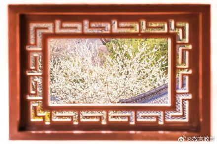 春节好！北大送你“北大红”