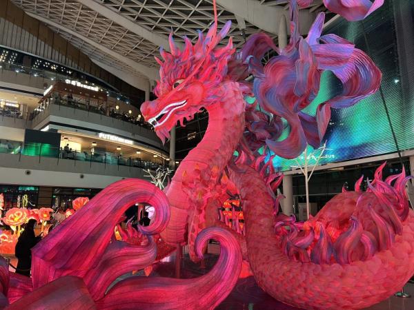 龙年走笔：发现中国文旅消费“龙”的身影