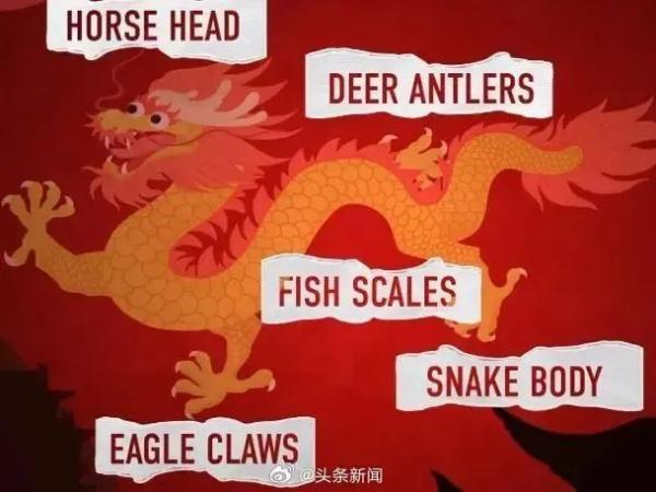 冲上热搜！龙的翻译变成了“loong”？