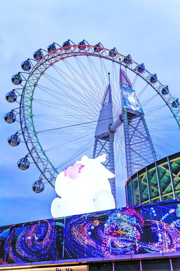 赏景赏花赏灯 福气欢溢厦门湖里