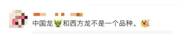 冲上热搜！龙的翻译变成了“loong”？