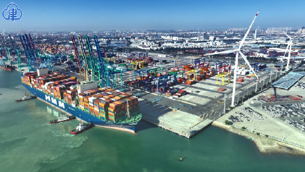 天津港集团首月生产“开门红” 集装箱吞吐量创历史同期新高