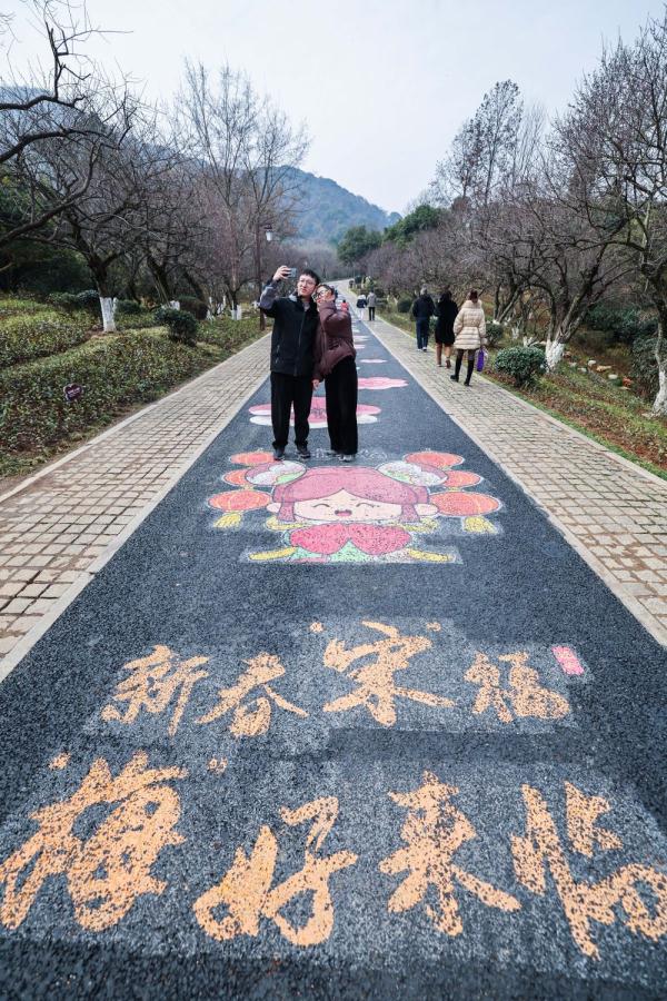 十里梅花香雪海 万株梅花喜迎春 十里梅花香雪海 万株梅花喜迎春