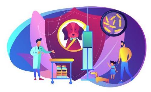 春节假期“招猫逗狗”被咬怎么办