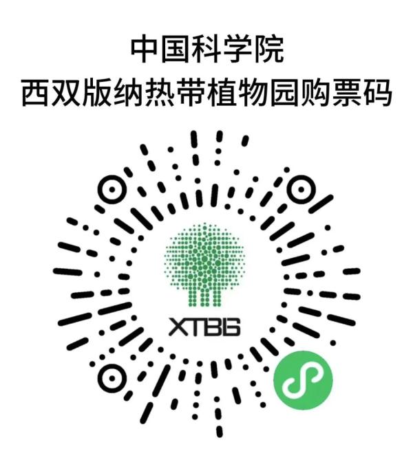 需实名制购检票！云南这个景点发布公告