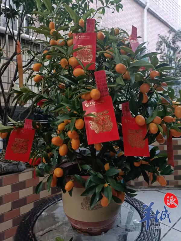 大年初一到!逗利是、送大桔、英歌舞……广东年俗知多少? 大年初一到!逗利是、送大桔、英歌舞……广东年俗知多少?