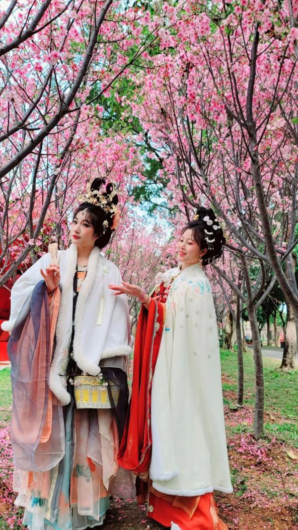 客流如织!深圳各景区“火力全开” 客流如织!深圳各景区“火力全开”