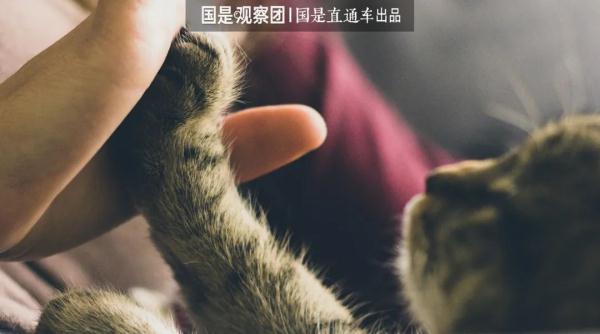 宠物沟通师，真的能“懂”宠物吗？