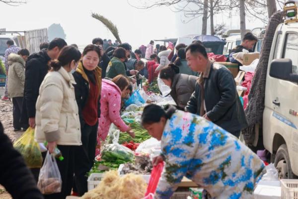 挑战50元能在洧川大集上买到什么 挑战50元能在洧川大集上买到什么