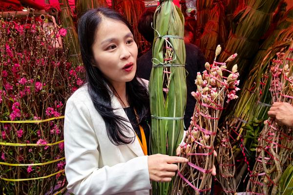 新春走基层|广州越秀花市里的热闹年味 新春走基层|广州越秀花市里的热闹年味