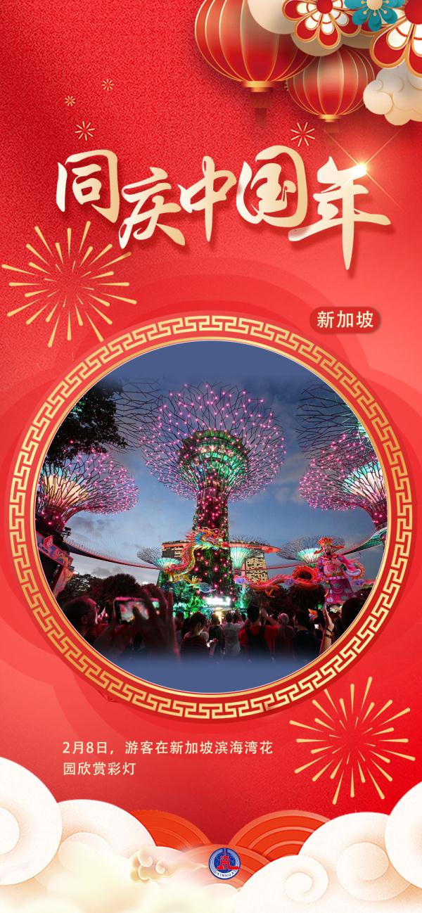 海报｜同庆中国年