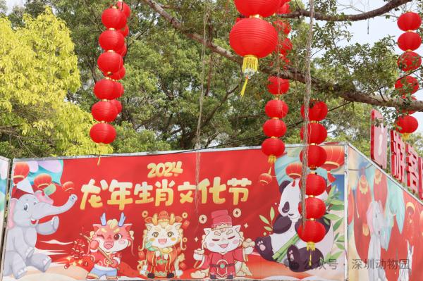 客流如织!深圳各景区“火力全开” 客流如织!深圳各景区“火力全开”