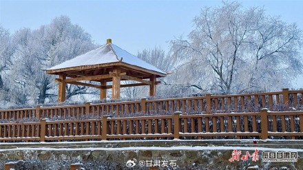 雪柳似花银松似菊 武威天马湖畔雾凇醉人 雪柳似花银松似菊 武威天马湖畔雾凇醉人