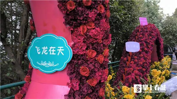 昆明这里已超万人“打卡”！官方紧急提醒→