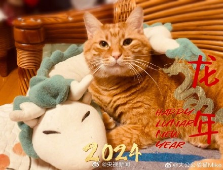 太可爱了!小动物也喜欢过年吧 太可爱了!小动物也喜欢过年吧