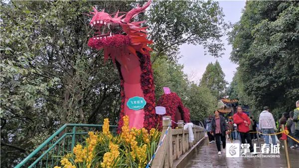 昆明这里已超万人“打卡”！官方紧急提醒→