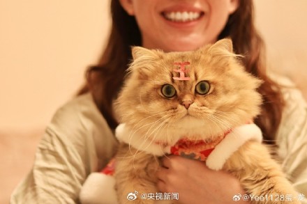 太可爱了!小动物也喜欢过年吧 太可爱了!小动物也喜欢过年吧