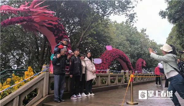 昆明这里已超万人“打卡”！官方紧急提醒→