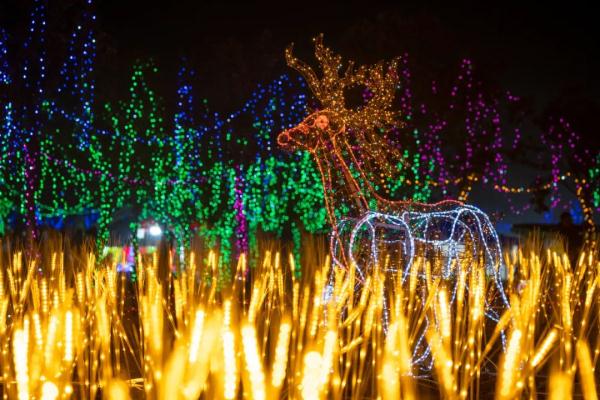 合肥这里有大型灯会