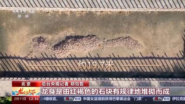 龙从何而来？走进中国考古博物馆开启“寻龙之旅”
