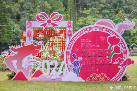 10万游客在仙湖植物园喜迎新春