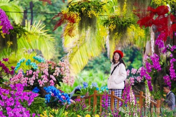 重回20℃+!广州未来10天温暖如春!下一波降温将在…… 重回20℃+!广州未来10天温暖如春!下一波降温将在……